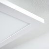 Plafonnier Salmi LED Blanc, 1 lumière, Télécommandes