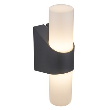 Applique murale d'extérieur Globo LED Anthracite, 1 lumière