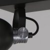 Spot Steinhauer BROOKLY LED Noir, 2 lumières