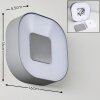 Applique murale d'extérieur Feldsted LED Argenté, 1 lumière