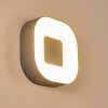 Applique murale d'extérieur Feldsted LED Argenté, 1 lumière
