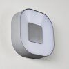 Applique murale d'extérieur Feldsted LED Argenté, 1 lumière