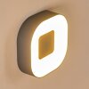 Applique murale d'extérieur Feldsted LED Argenté, 1 lumière
