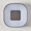 Applique murale d'extérieur Feldsted LED Argenté, 1 lumière