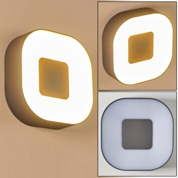 Applique murale d'extérieur Feldsted LED Argenté, 1 lumière Applique murale d'extérieur Feldsted LED Argenté, 1 lumière