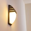 Applique murale d'extérieur Canberra Anthracite, 1 lumière