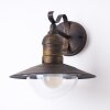 Applique extérieure Broni Brun doré, 1 lumière