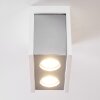 Plafonnier Braslo Chrome, Blanc, 2 lumières