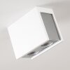 Plafonnier Braslo Chrome, Blanc, 2 lumières