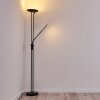 Lampadaire Abiqua LED Noir, 2 lumières
