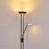 Lampadaire Abiqua LED Noir, 2 lumières