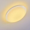 Plafonnier Brighton LED Blanc, 1 lumière, Télécommandes, Changeur de couleurs