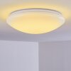 Plafonnier Brighton LED Blanc, 1 lumière, Télécommandes, Changeur de couleurs