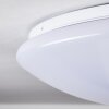 Plafonnier Brighton LED Blanc, 1 lumière, Télécommandes, Changeur de couleurs