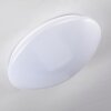 Plafonnier Brighton LED Blanc, 1 lumière, Télécommandes, Changeur de couleurs