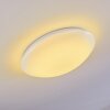 Plafonnier Brighton LED Blanc, 1 lumière, Télécommandes, Changeur de couleurs