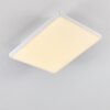 Plafonnier Bankura LED Blanc, 1 lumière