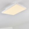 Plafonnier Bankura LED Blanc, 1 lumière
