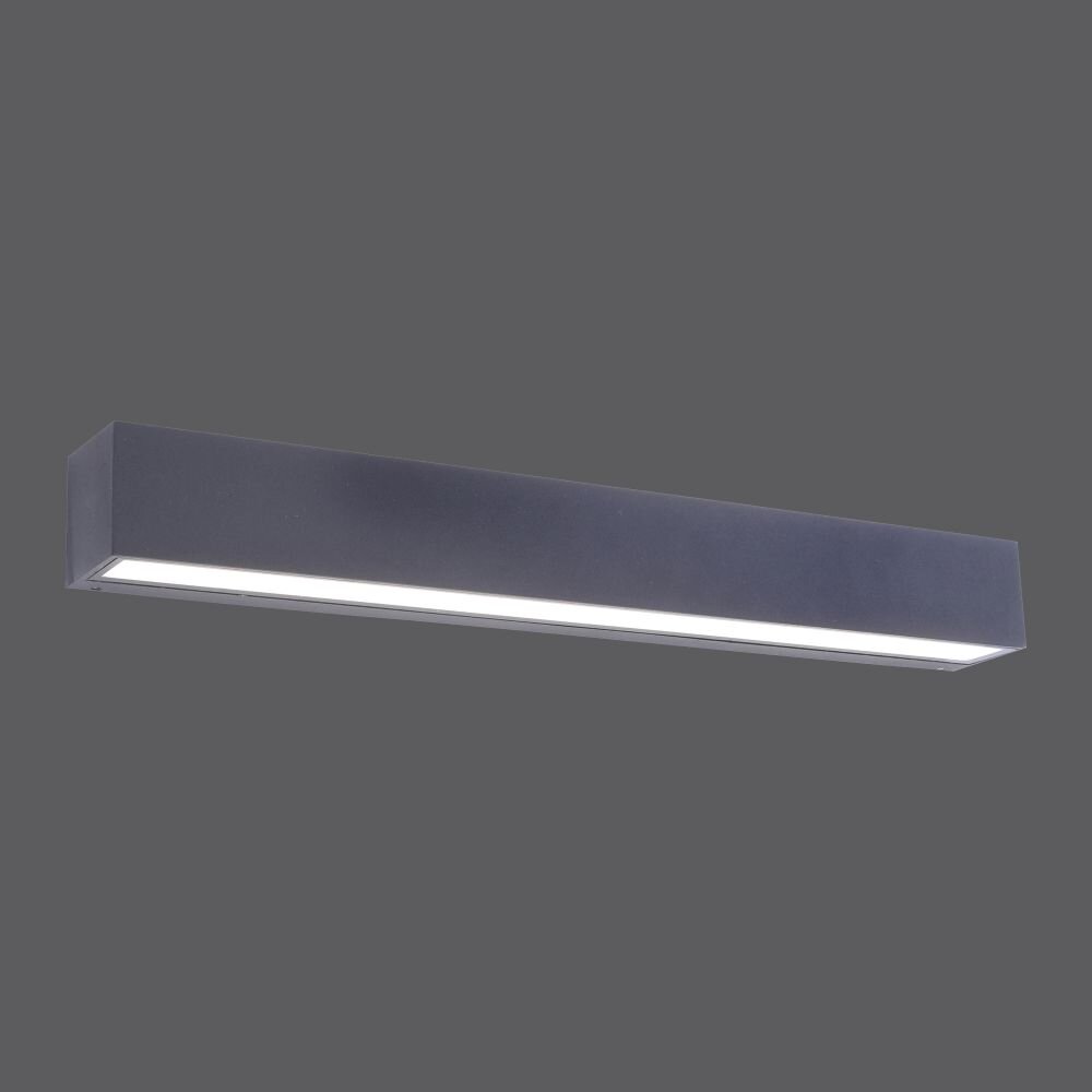 Applique murale Paul Neuhaus ROBERT LED Anthracite, 1 lumière main product photo