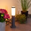 Borne lumineuse Gaborone Anthracite, 1 lumière