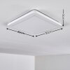 Plafonnier Siguna LED Blanc, 1 lumière