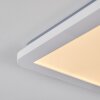 Plafonnier Siguna LED Blanc, 1 lumière