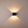 Applique murale Chuitna LED Noir, 2 lumières