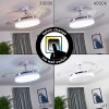 Ventilateur de plafond Bendigo LED Chrome, Transparent, Blanc, 1 lumière