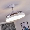 Ventilateur de plafond Bendigo LED Chrome, Transparent, Blanc, 1 lumière