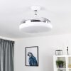 Ventilateur de plafond Bendigo LED Chrome, Transparent, Blanc, 1 lumière