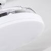 Ventilateur de plafond Bendigo LED Chrome, Transparent, Blanc, 1 lumière