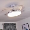 Ventilateur de plafond Bendigo LED Chrome, Transparent, Blanc, 1 lumière