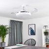 Ventilateur de plafond Bendigo LED Chrome, Transparent, Blanc, 1 lumière