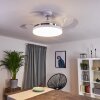 Ventilateur de plafond Bendigo LED Chrome, Transparent, Blanc, 1 lumière
