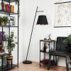 Lampadaire Saillon Noir, 1 lumière