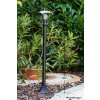 Borne d'éclairage Philips myGarden CREEK Noir, Transparent, 1 lumière