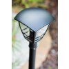 Borne d'éclairage Philips myGarden CREEK Noir, Transparent, 1 lumière