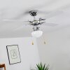 Ventilateur de plafond Valletta Chrome, Noir, Blanc, 1 lumière