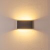 Applique murale d'extérieur Tinglev LED Anthracite, 2 lumières