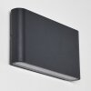 Applique murale d'extérieur Tinglev LED Anthracite, 2 lumières