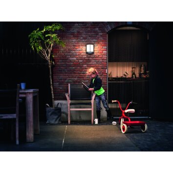 Applique murale d'extérieur Philips Stock LED Anthracite, 1 lumière, Détecteur de mouvement