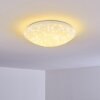 Plafonnier Brighton Star LED Blanc, 1 lumière, Télécommandes, Changeur de couleurs