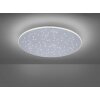 Plafonnier Paul Neuhaus Q-NIGHTSKY LED Aluminium, 1 lumière, Télécommandes