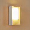 Applique murale d'extérieur Lamoliere LED Blanc, 1 lumière