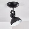 Plafonnier Tina Noir, 1 lumière