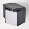 Applique murale d'extérieur Swanek LED Anthracite, 1 lumière