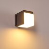 Applique murale d'extérieur Swanek LED Anthracite, 1 lumière