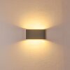 Applique murale d'extérieur Tinglev LED Gris, 2 lumières
