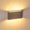 Applique murale d'extérieur Tinglev LED Gris, 2 lumières