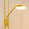 Lampadaire Biot LED Laiton, 2 lumières